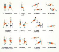 Whole Body Vibration Plate image 1